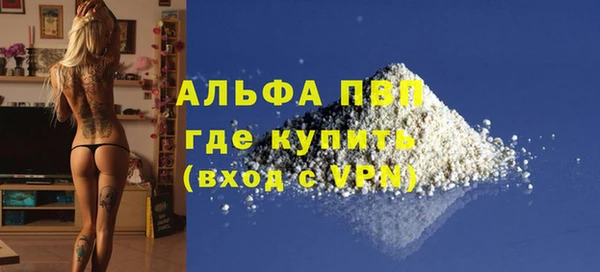 гидра Богданович