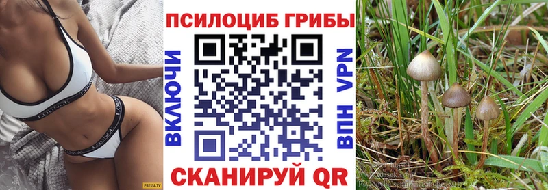 Псилоцибиновые грибы мицелий  OMG как войти  Видное 