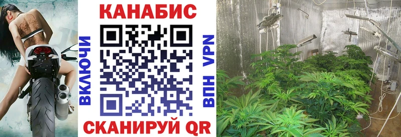 купить закладку  mega ссылки  Марихуана гибрид  Видное 